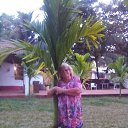 ���� �������, ������, 71 ��� - ��������� 31 ��� 2021 � ������ ���� ����������