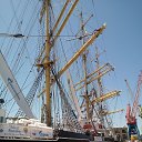 ���� ���������, ��������, 49 ��� - ��������� 12 ������� 2021 � ������ ��������