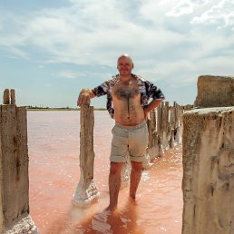 �������, �������, 51 ���