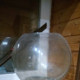 ������, ������ �����, 23 ����