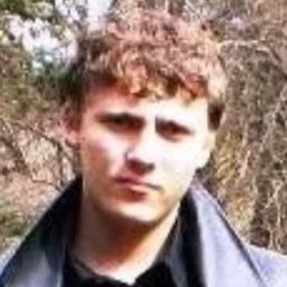 �����, ����������, 41 ���