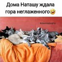 ���� **N**, ������� - ��������� 27 ������� 2021 � ������ ������ ��������