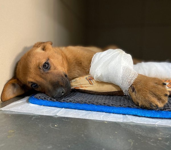 #__.        .     ... - 2