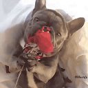 ���� ������, ������, 68 ��� - ��������� 22 ������ 2021 � ������ ���� ���� ������