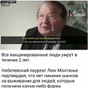 ���� �����, ������������, 46 ��� - ��������� 5 ���� 2021 � ������ ������ ��������