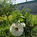 ���� ���������, ������, 34 ���� - ��������� 4 ������� 2021 � ������ ���� ����������