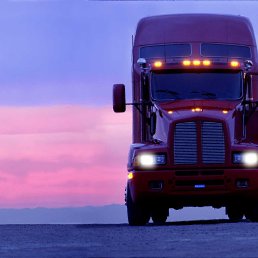 ������, ������, 65 ���