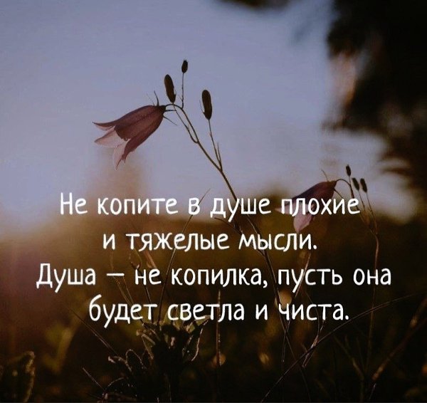 ������� ���������� - 21 �������� 2021 � 12:17
