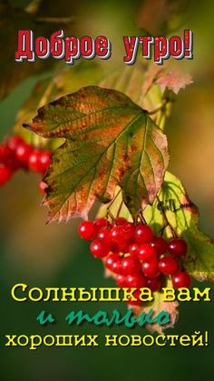�� ����� ������! - 4 ������� 2021 � 08:01