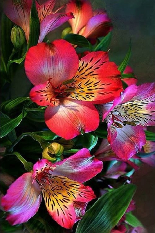  ! - 26  2021  21:46 - 4