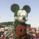 ���� ������, ��������, 44 ���� - ��������� 11 �������� 2021 � ������ ���� ����������