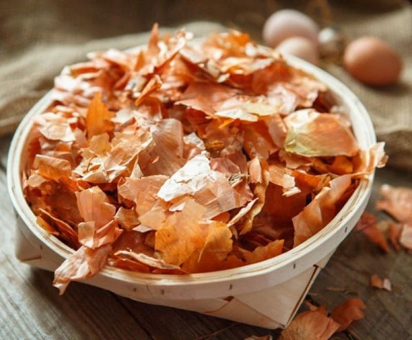 Луковая шелуха - находка для дачника.Луковая шелуха — один из резервов повышения урожайности. Её ...