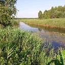 ���� Tadeusz, �����, 63 ���� - ��������� 13 ���� 2021 � ������ ������ ��������