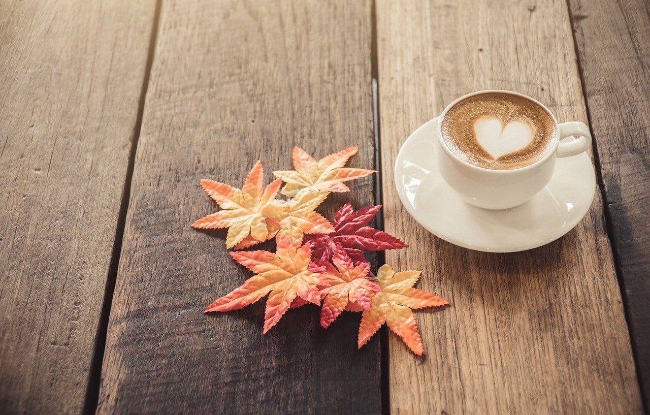 Скачать обои осень, листья, плед, wood, autumn, leaves, coffee cup, чашка кофе,