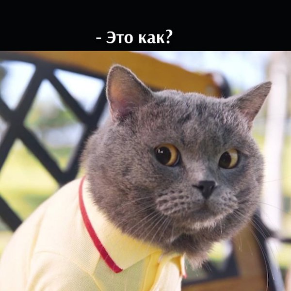       - 16  2021  13:38 - 2