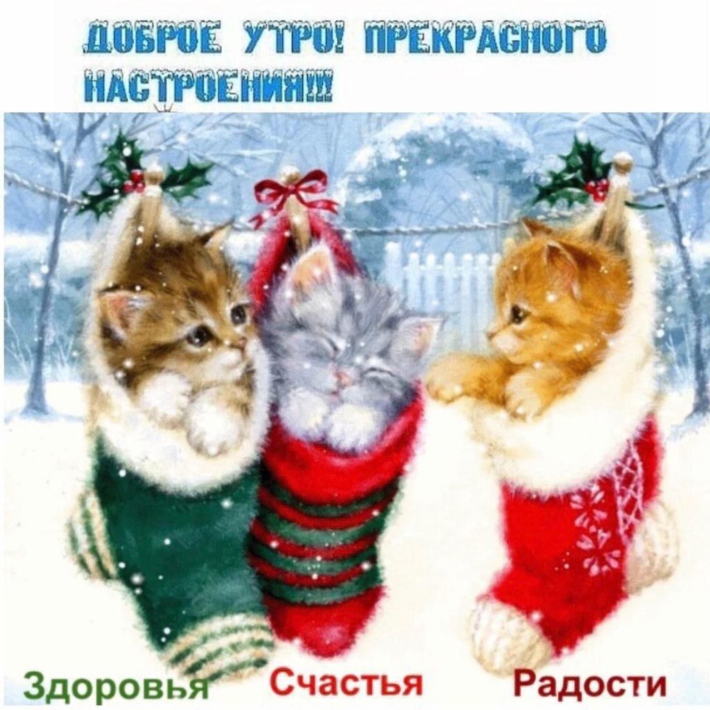  - 14  2021  09:11