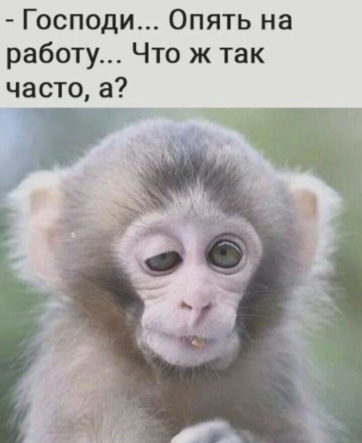 ***Victoria Viktorovna*** - 14  2021  05:52