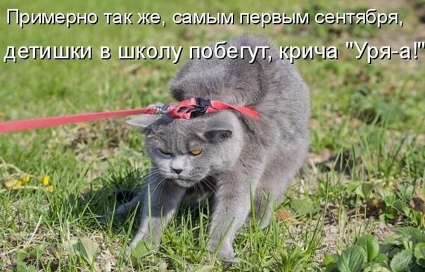    - 18  2021  03:33