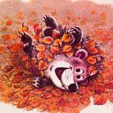 ���� ��� ����������, �����������, 35 ��� - ��������� 10 ������� 2021 � ������ �������