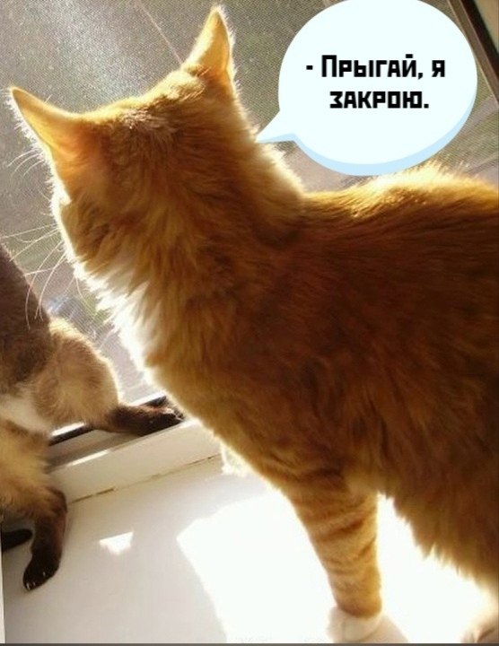       - 13  2021  10:28 - 3