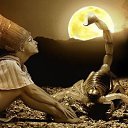 ���� ��������, �����������, 55 ��� - ��������� 8 ������ 2022 � ������ ���� ����������