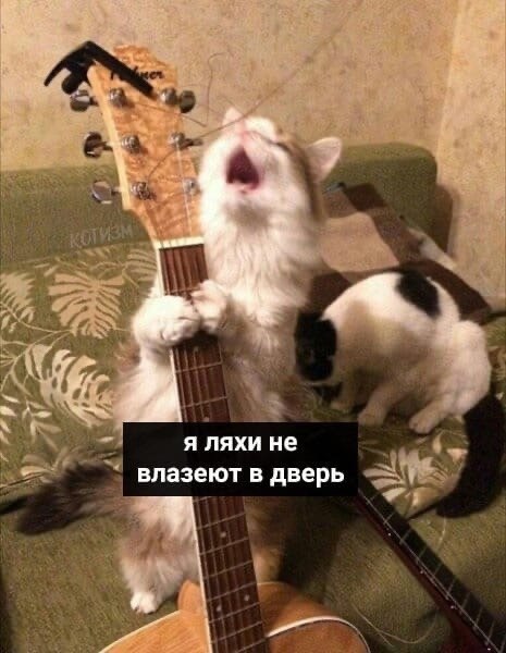   - - 4