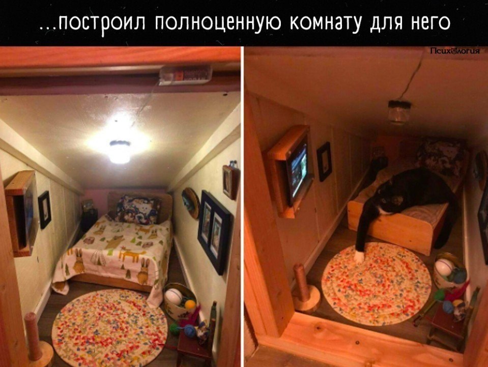       ,  :