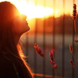 ����, ������