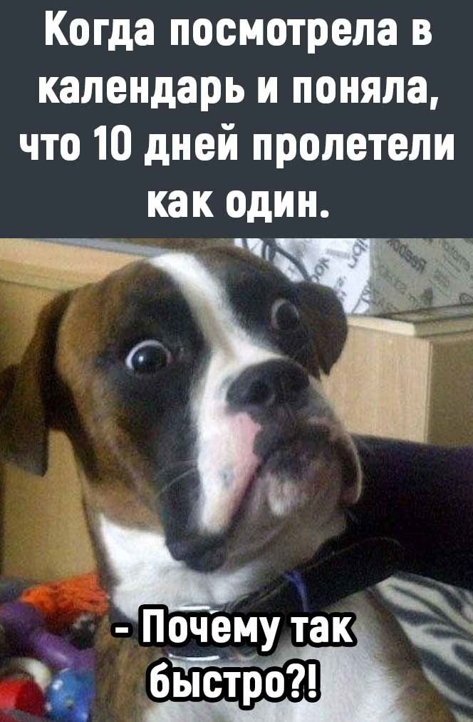  - 10  2022  16:18