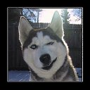 ���� ������, ���� - ��������� 20 ������� 2021 � ������ ������ ��������