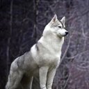 ���� �����, ����������, 53 ���� - ��������� 3 ������� 2022 � ������ ������ ��������