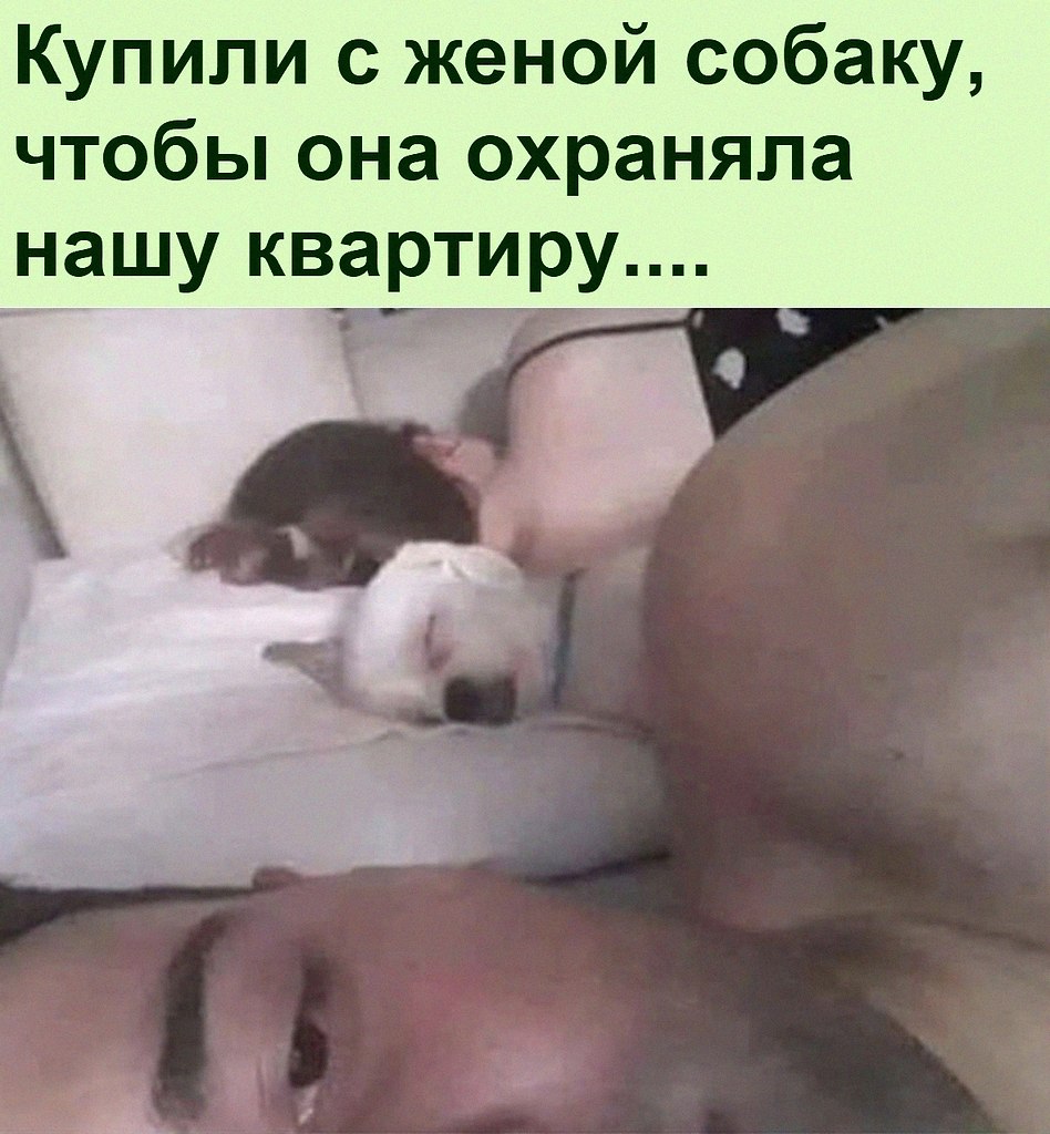   :D - 21  2021  06:25
