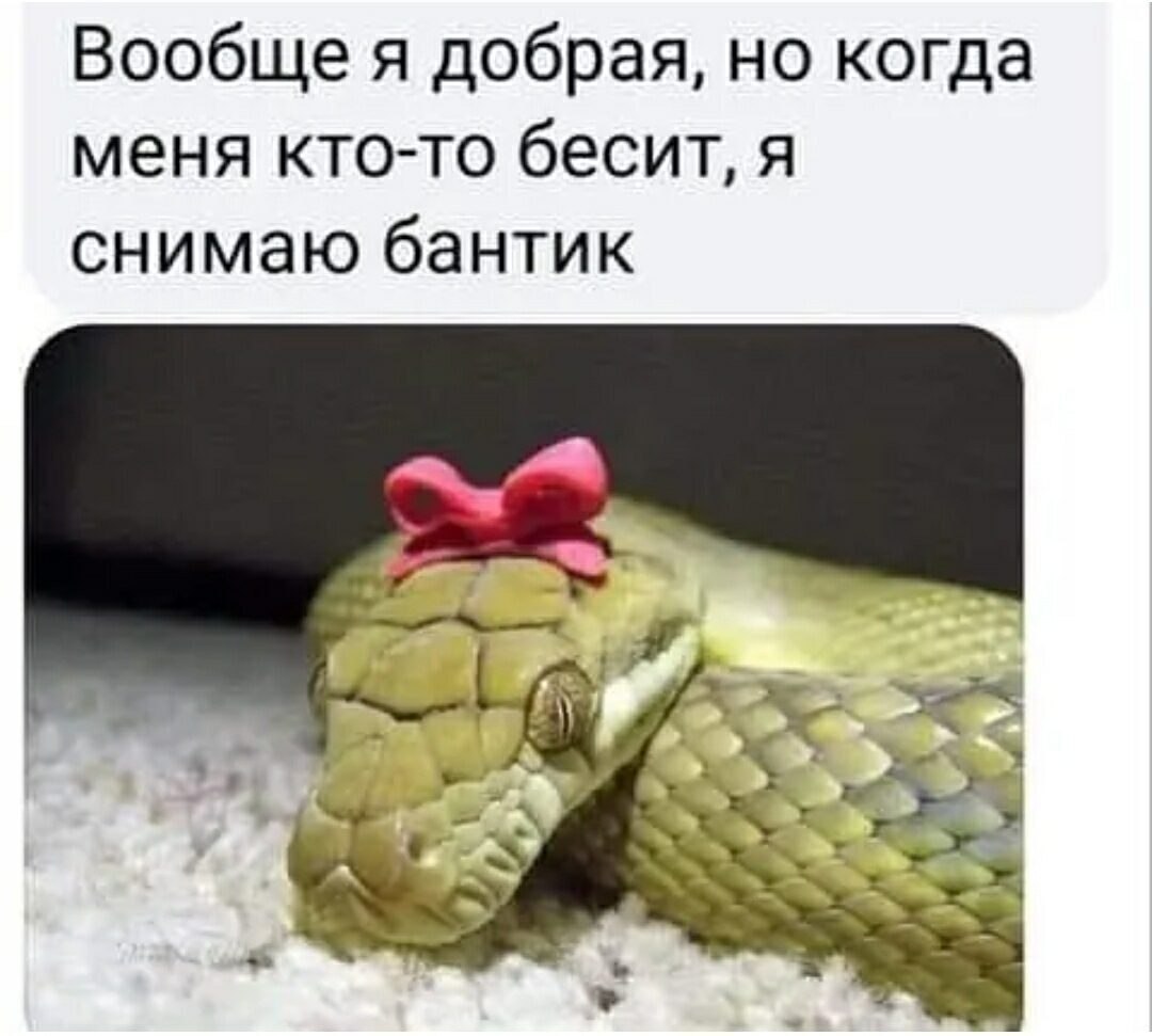 ! - 2  2021  22:35
