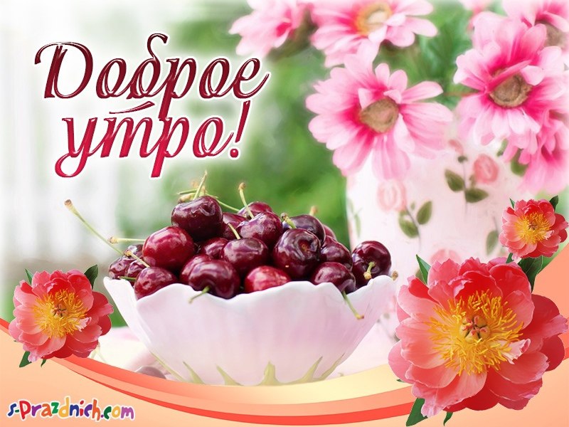   ,    . - 29  2021  00:25 - 3