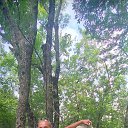 ���� �������, ������, 58 ��� - ��������� 27 ������� 2021 � ������ ���� ����������