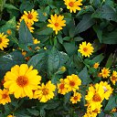 ���� ����, �������, 70 ��� - ��������� 29 ������ 2021 � ������ ���� ����������