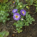 ���� Nikolay, ������ ��������, 73 ���� - ��������� 22 ������� 2021 � ������ �2021 �