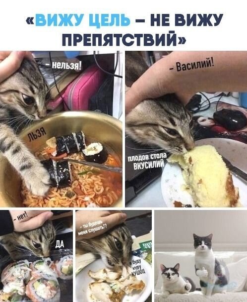 Настырный это какой. Настырный какой.