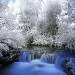 ����, ���������, 39 ���