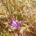 ���� ������, �����������, 64 ���� - ��������� 19 ��� 2021 � ������ ���� ����������