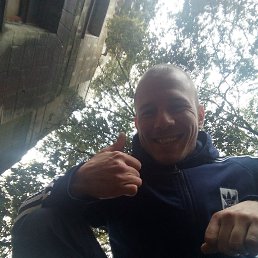 ����, �������, 37 ���