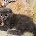 ���� Liliya, ���� - ��������� 10 �������� 2021 � ������ ������ ��������