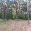 ���� Haver Santa, ���������� ����� - ��������� 28 ���� 2021 � ������ �:)�