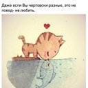 ���� �����, ������� - ��������� 20 ������ 2022