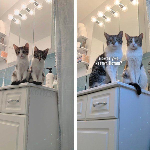   ,     :
