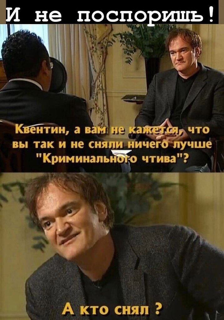 Кот качок. Прибалтийские тигры. Все показывай быстро. Туда нам надо мем. Смешные собаки мемы.