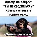 ���� �������, ��������, 53 ���� - ��������� 6 ���� 2021 � ������ ���� ����������