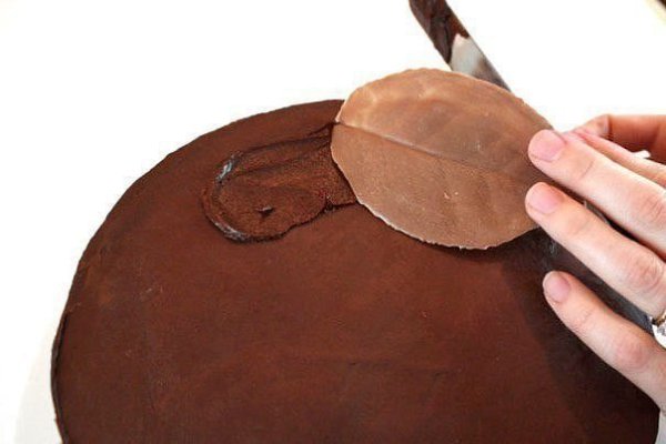 Листья из шоколада. Украшаем тортик! - 8