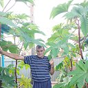 ���� ������, �����������, 56 ��� - ��������� 2 �������� 2021 � ������ ���� ����������