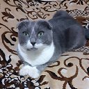 ���� ��������, ������ - ��������� 11 ������� 2021 � ������ ���� ����������